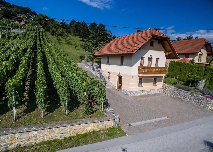 In - Dolenjska & Bela Krajina Unter- & Weisskrain 26093 *